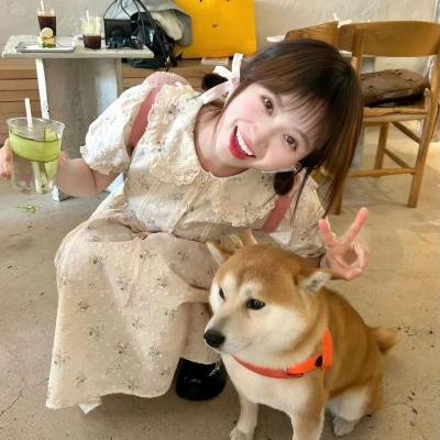 不日成婚2